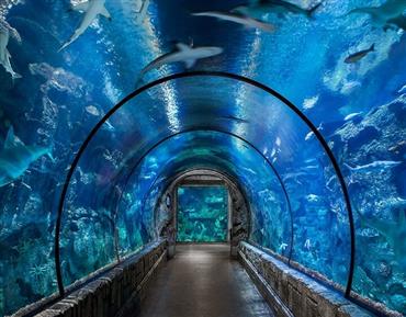 Grand Aquarium: Eintrittsticket & Tour